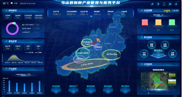 AI+農(nóng)業(yè) | 當(dāng)種子植入“數(shù)智芯片”，馬山縣打造制種基地新標(biāo)桿